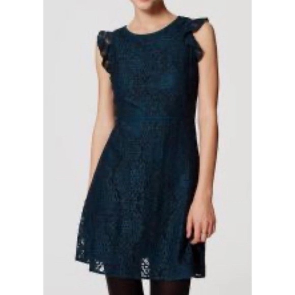 Loft Dress Lace Knee Length Sz 8  Deep Sea Teal Flutter Sleeve Back Zipper Lady - Picture 1 of 13